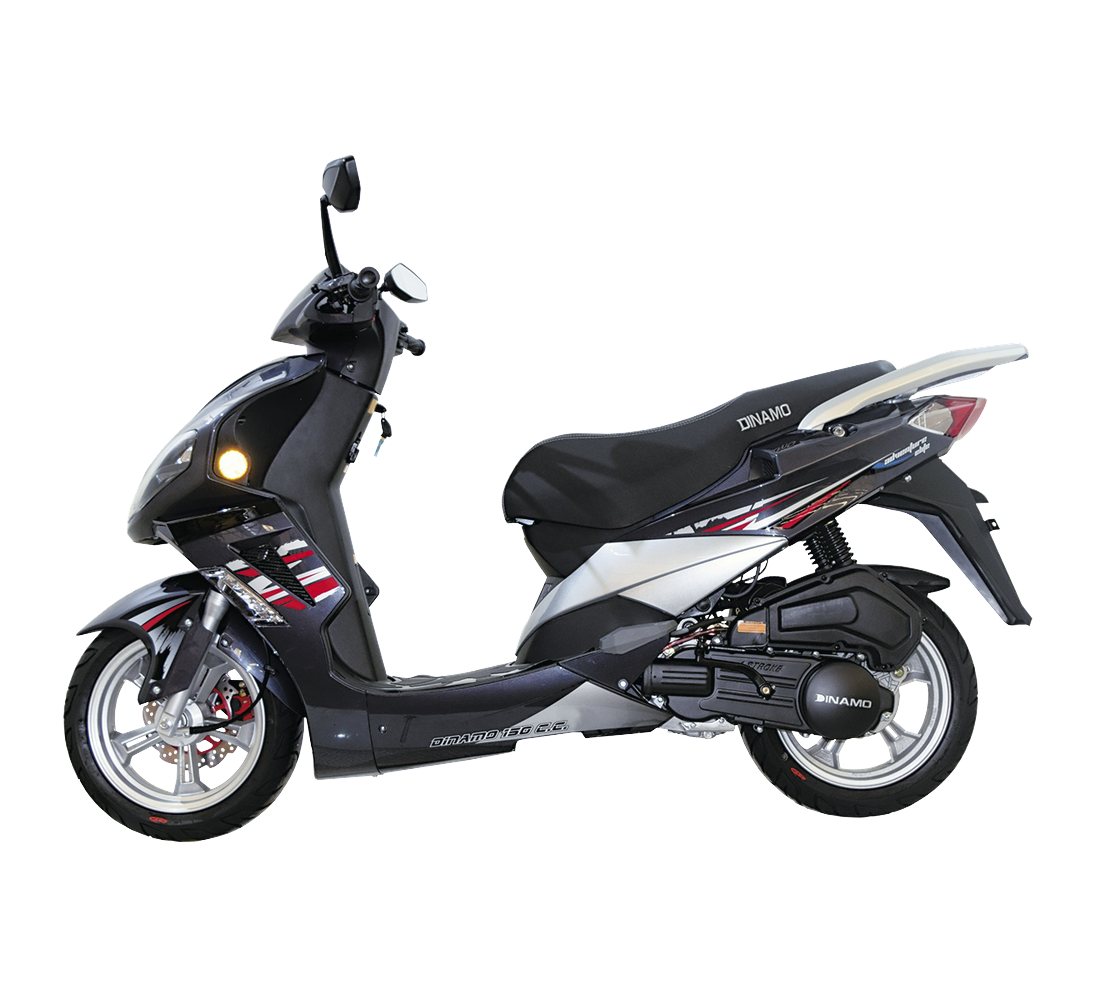 Dinamo Adventure Elite Galeria5 Galgo México