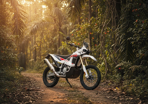 Kove 450 Rally Lifestyle2 Galgo