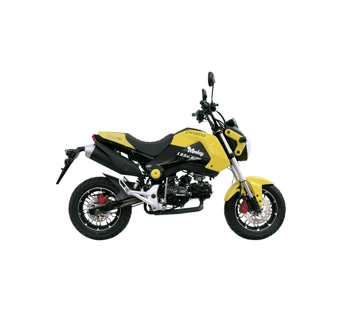 Dinamo Monkey Galeria1 Galgo México