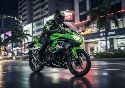 Kawasaki Ninja 300 Lifestyle1 Galgo
