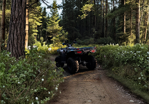 Italika ATV 300 Lifestyle2 Galgo