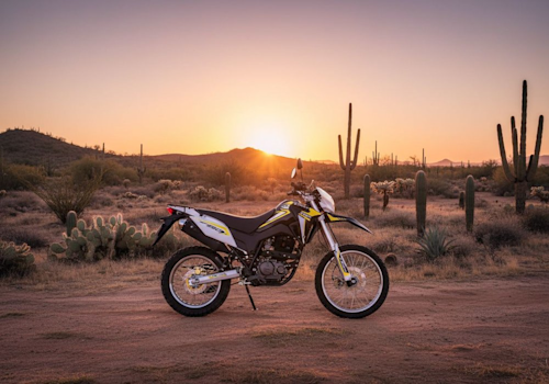 Lifan Xpect 250 Lifestyle2 Galgo