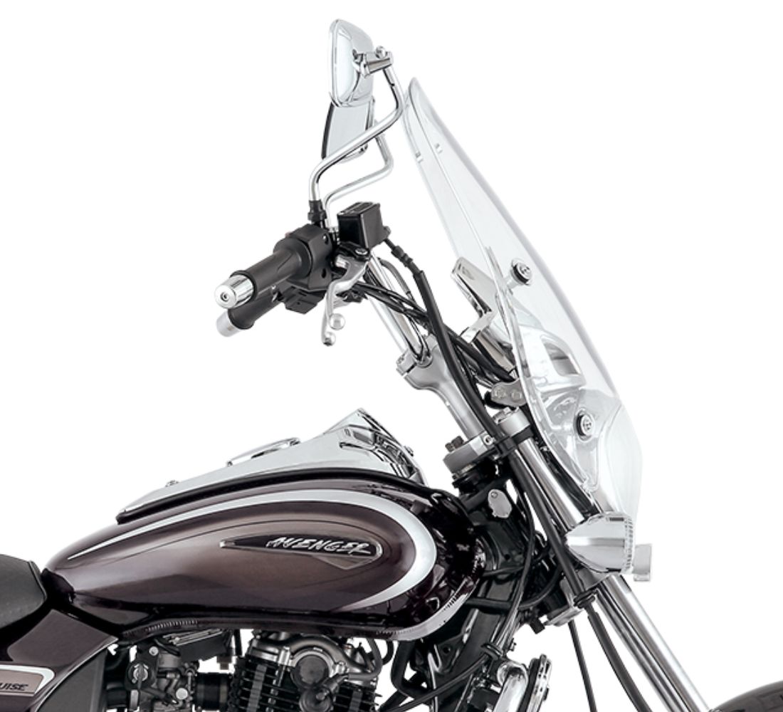 Moto Bajaj Avenger 220 Cruise 2022 Galgo México