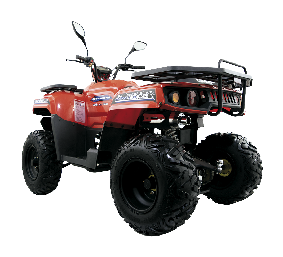 Dinamo Xtreme RLX Galeria1 Galgo México