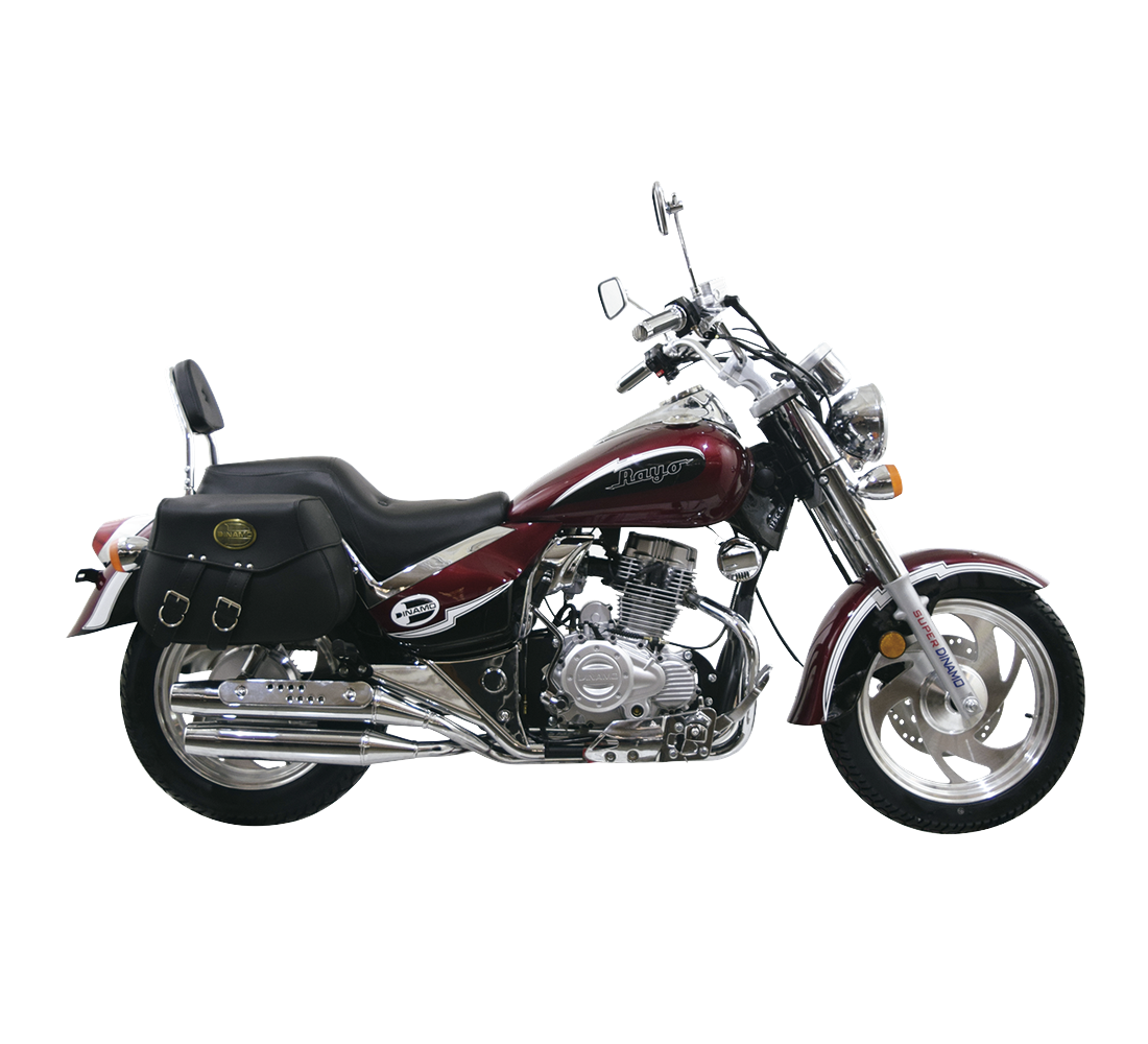 Dinamo Rayo 175 Galeria4 Galgo México