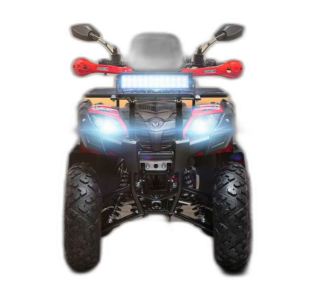 Veloci Beast Galeria2 Galgo