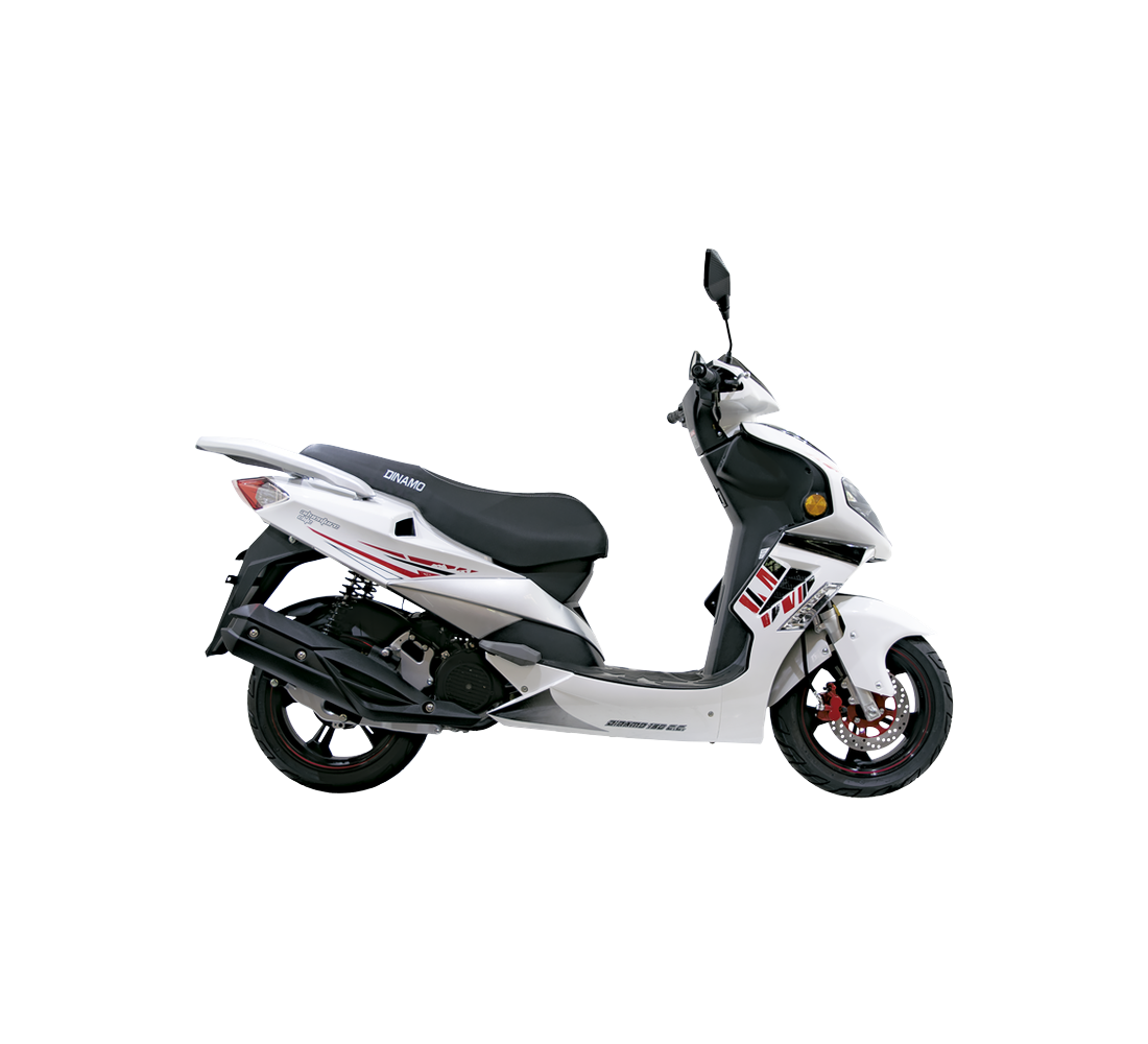 Dinamo Adventure Elite Galeria2 Galgo México