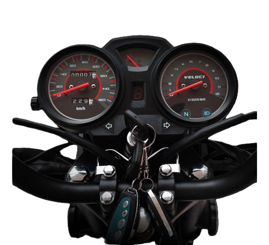 Veloci Boxter Galeria1 Galgo