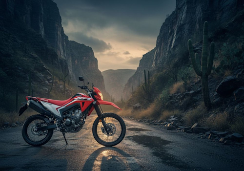 Honda XR 300 L Tornado Lifestyle2 Galgo