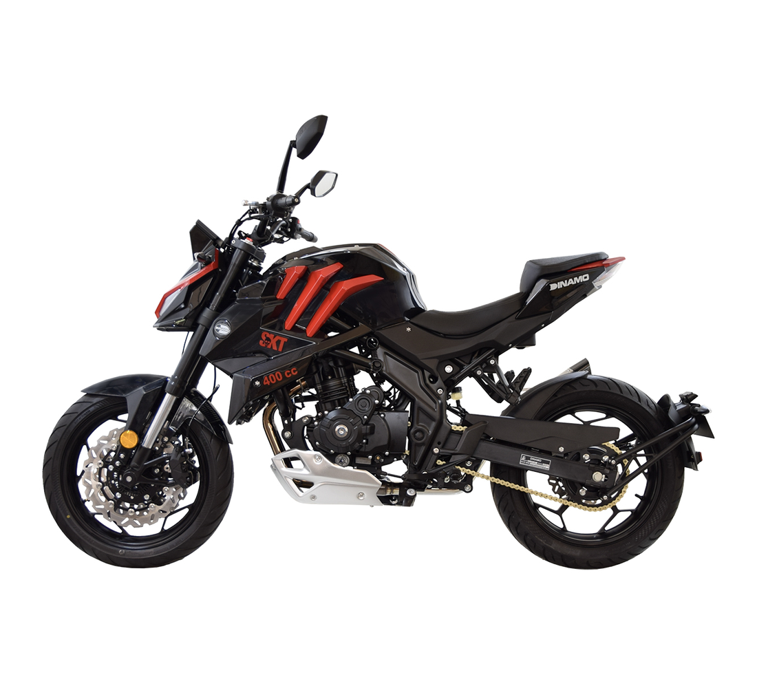 Dinamo Skeleton Galeria4 Galgo México