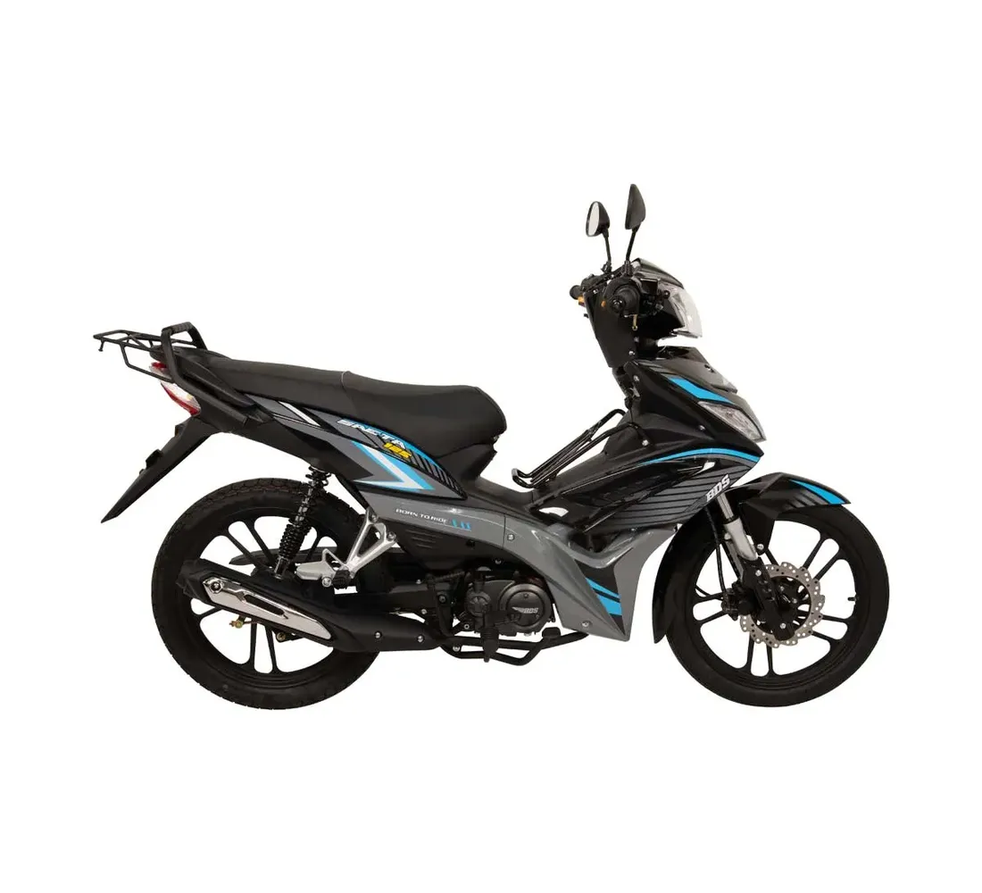 BDS Saeta Galeria1 Galgo México