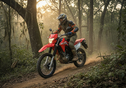 Honda XR 300 L Tornado Lifestyle3 Galgo