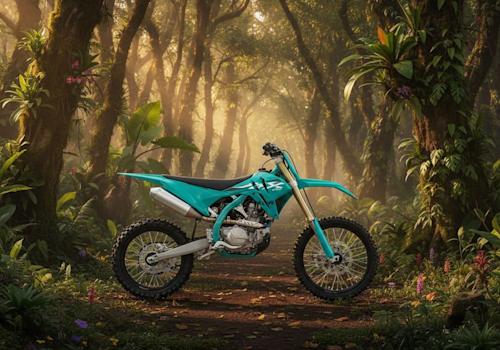 Kove MX250 Lifestyle2 Galgo
