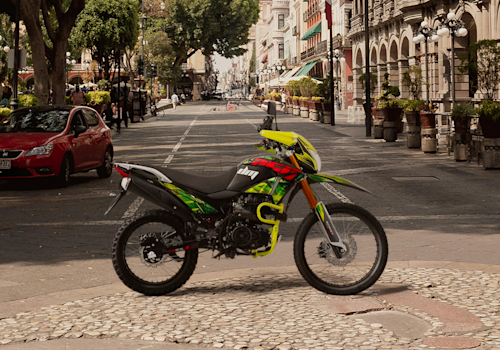 Moto Italika DM250 Galgo México
