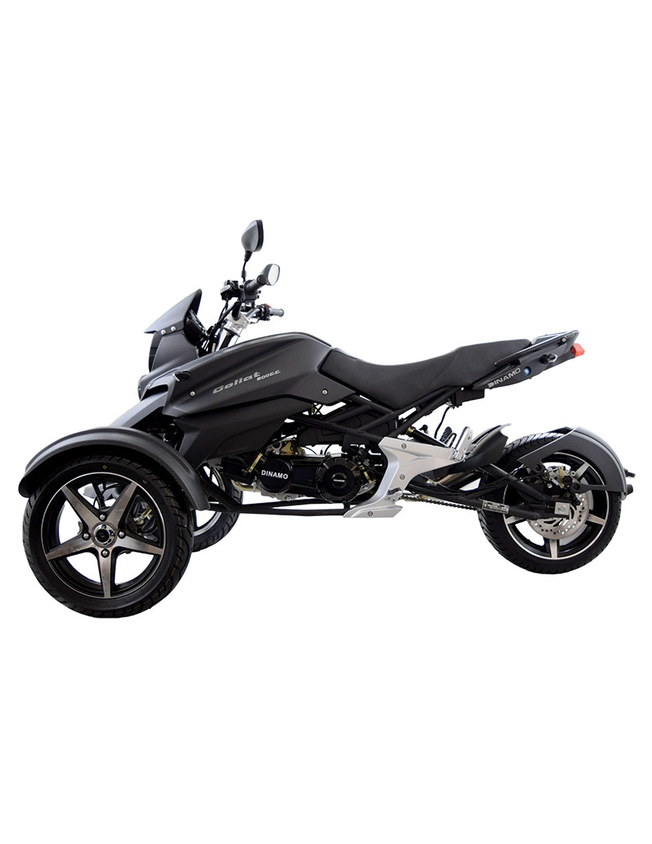 Dinamo Goliat Negro 2025 Galeria 2 | Galgo México