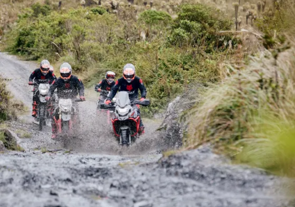 Victory MRX Arizona Fox TK Lifestyle1 Galgo Colombia