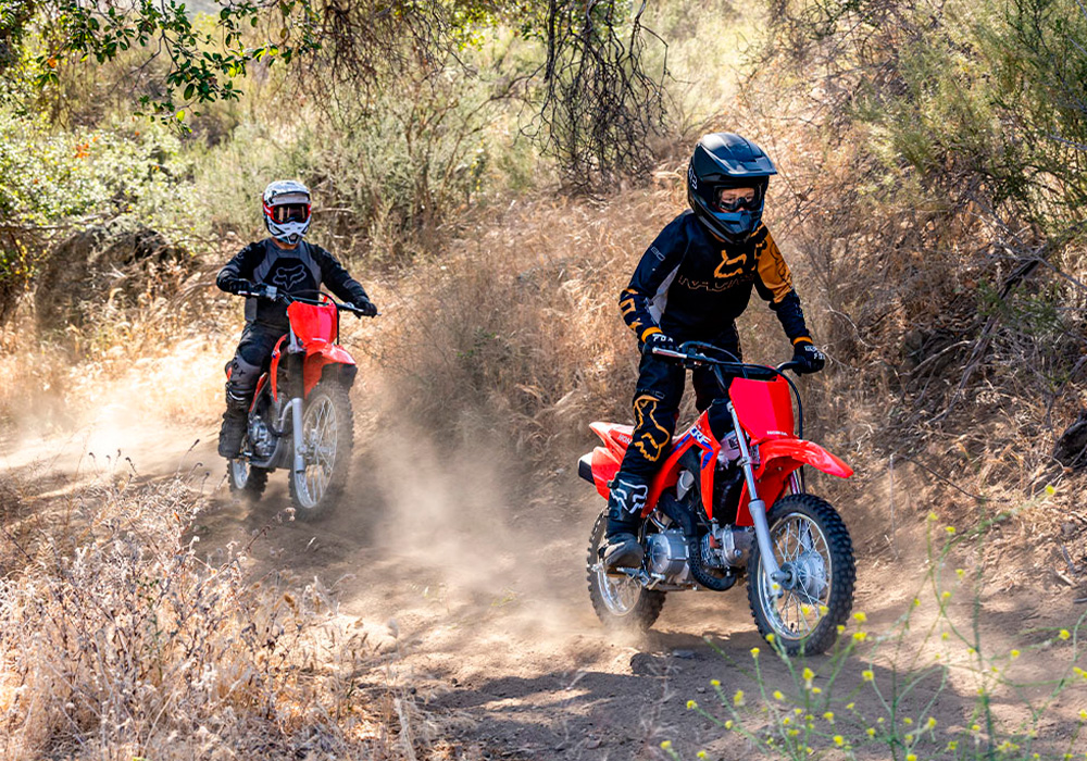 Honda CRF110F Lifestyle2 Galgo