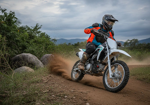 Honda CRF110F Lifestyle3 Galgo