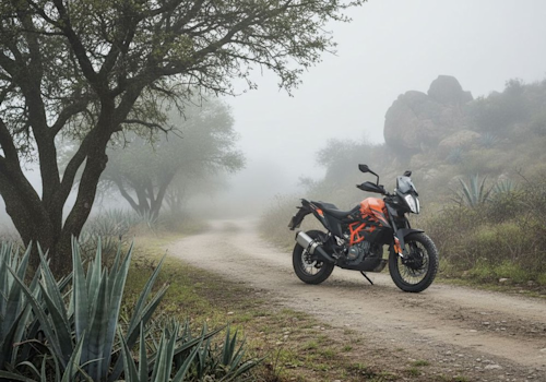 KTM 390 Adventure ABS Lifestyle2 Galgo