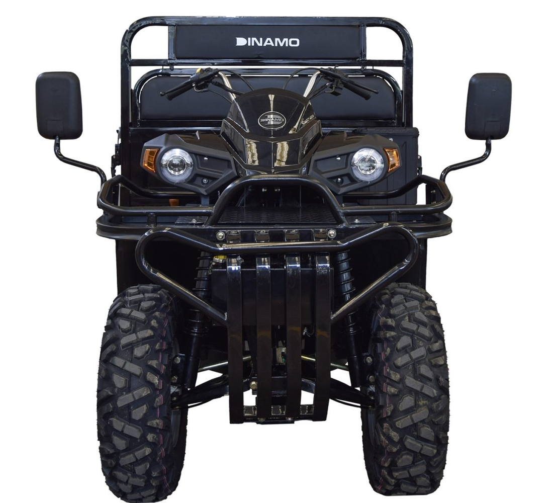 Dinamo Heavy Max Galeria1 Galgo México