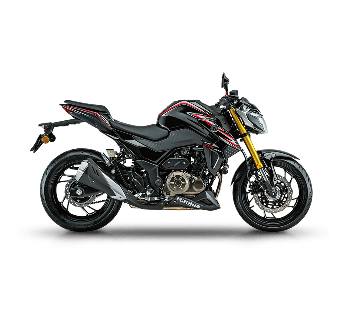 Bolton DR300 Galeria4 Galgo