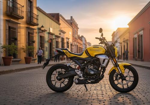 Dinamo R2 GT Lifestyle2 Galgo