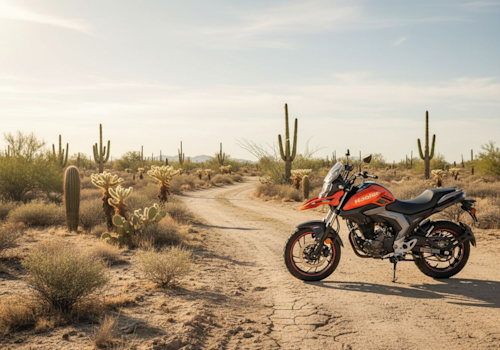 Haojue DL 160 Lifestyle2 Galgo