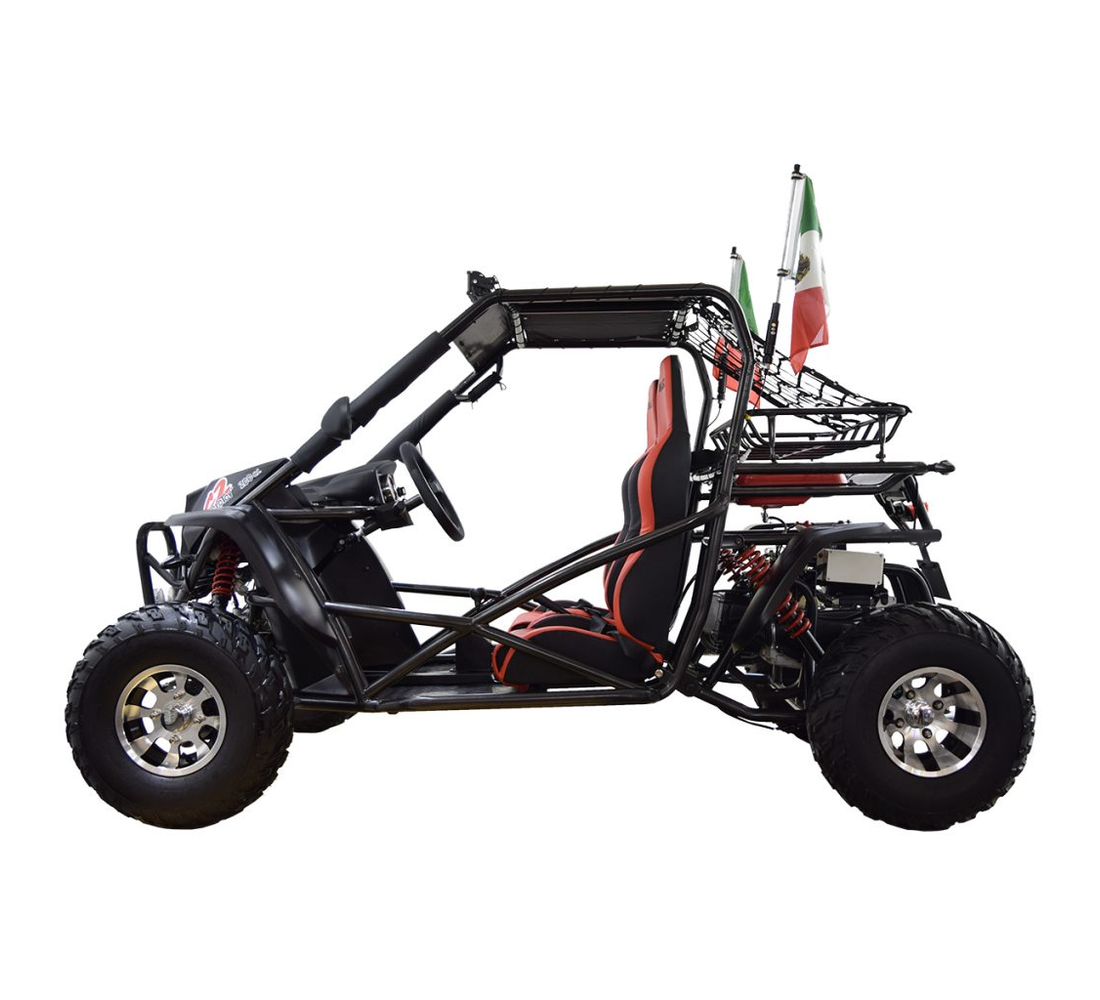 Dinamo Molotov C2 Galeria3 Galgo México