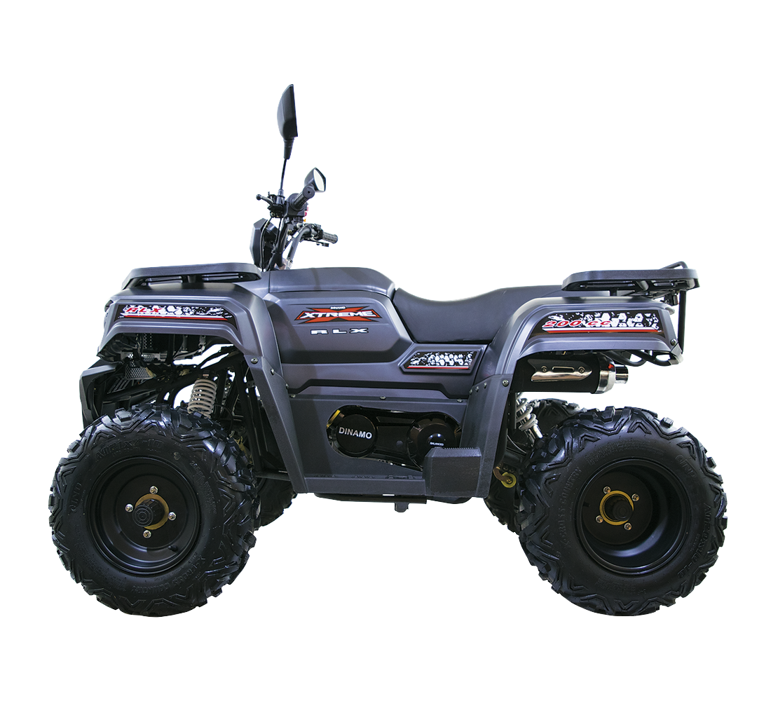 Dinamo Xtreme RLX Galeria4 Galgo México