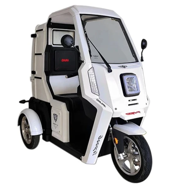Triciclo Electrico Box G3