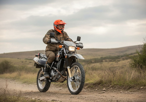 Suzuki DR 650 Lifestyle3 Galgo