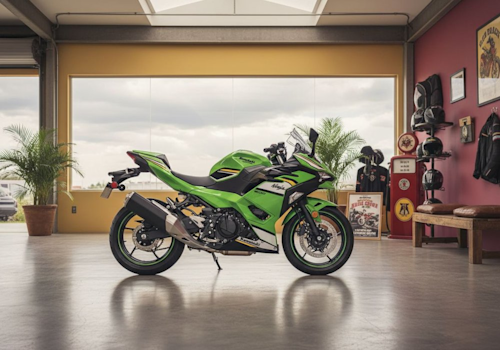 Kawasaki Ninja 500 ABS SE KRT Lifestyle2 Galgo