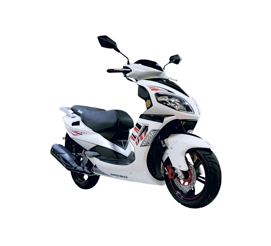 Dinamo Adventure Elite Galeria1 Galgo México