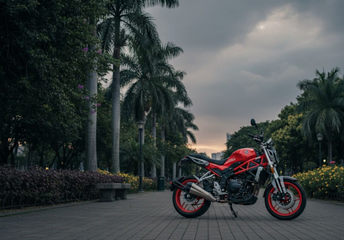 Sharmax RST 501 Zooma Lifestyle2 Galgo