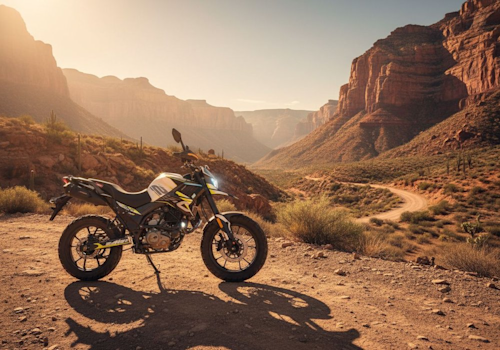 MB Tekken 250 Lifestyle2 Galgo