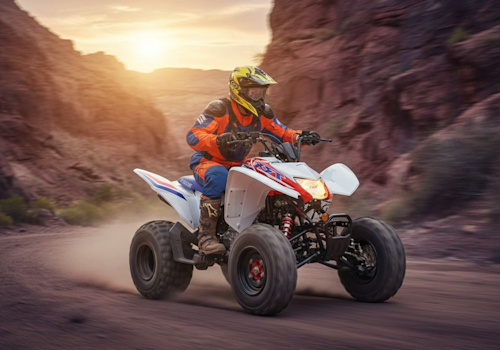 Honda TRX250X Lifestyle1 Galgo