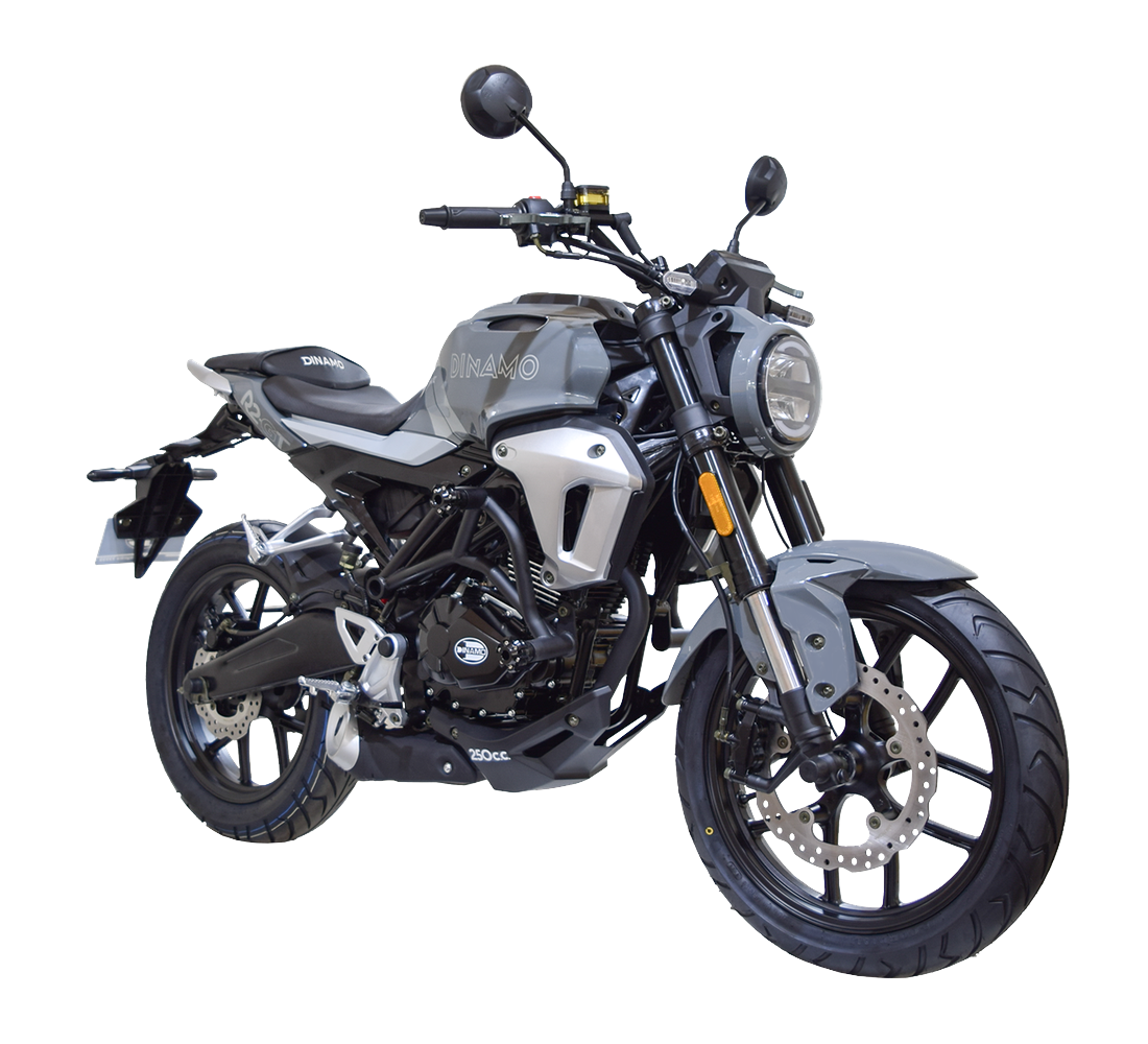 Dinamo Sport R2 Galeria4 Galgo México