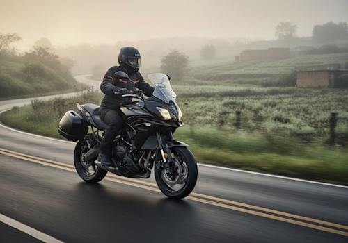 Kawasaki Versys 650 ABS Lifestyle3 Galgo