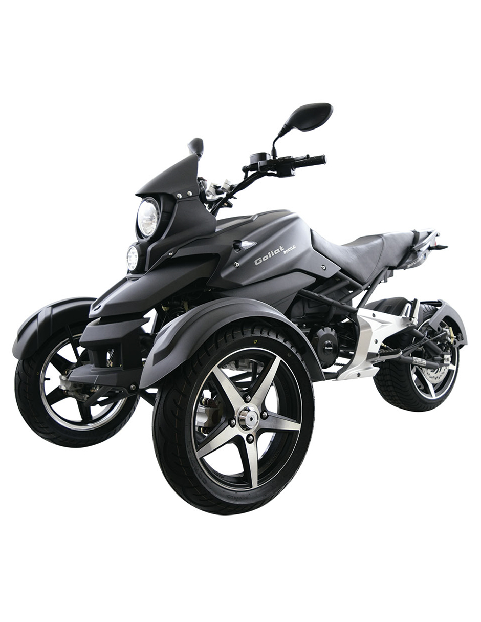 Dinamo Goliat Negro 2025 Galeria 1 | Galgo México