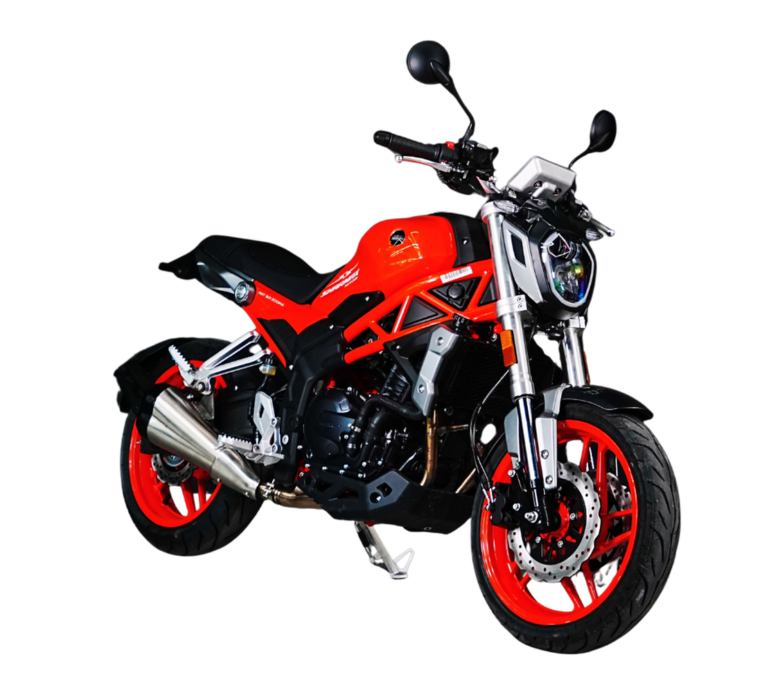 Sharmax RST 501 Zooma Imagen principal Galgo