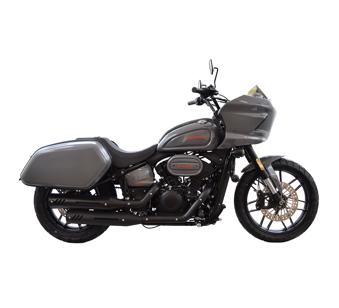 Dinamo Bandid Galeria7 Galgo México