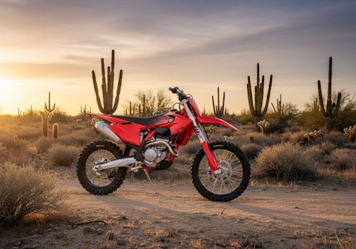 GasGas MC 250 F Lifestyle2 Galgo
