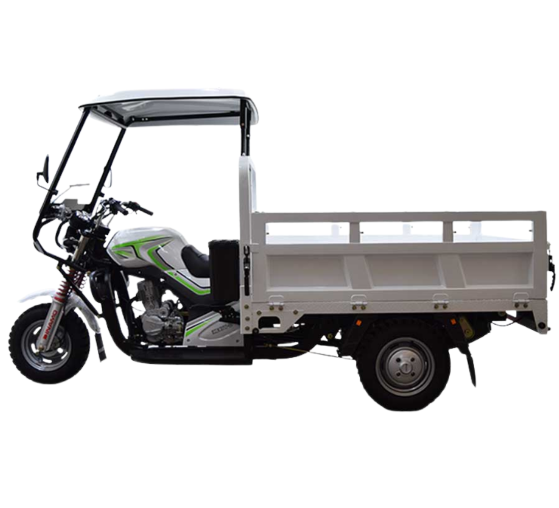 Dinamo Heavy B CAB Galeria1 Galgo México