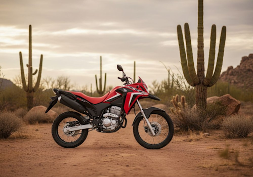 Honda XRE 300 Sahara DLX Lifestyle2 Galgo