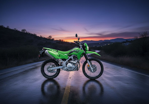Kawasaki KLX 230 S Lifestyle2 Galgo