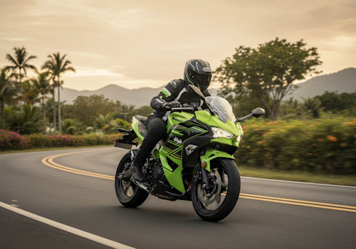 Kawasaki Ninja 500 Lifestyle3 Galgo