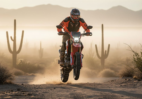 Veloci Xeverus Pro XR4 Lifestyle3 Galgo