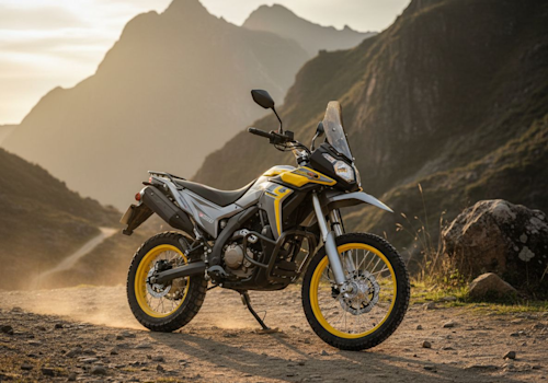 Loncin DS 250 Lifestyle2 Galgo