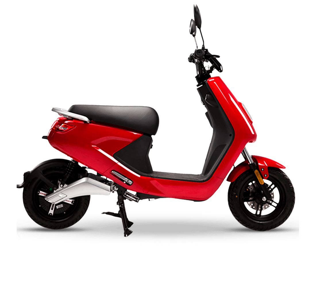 LVN LX 04 Galeria5 Galgo 