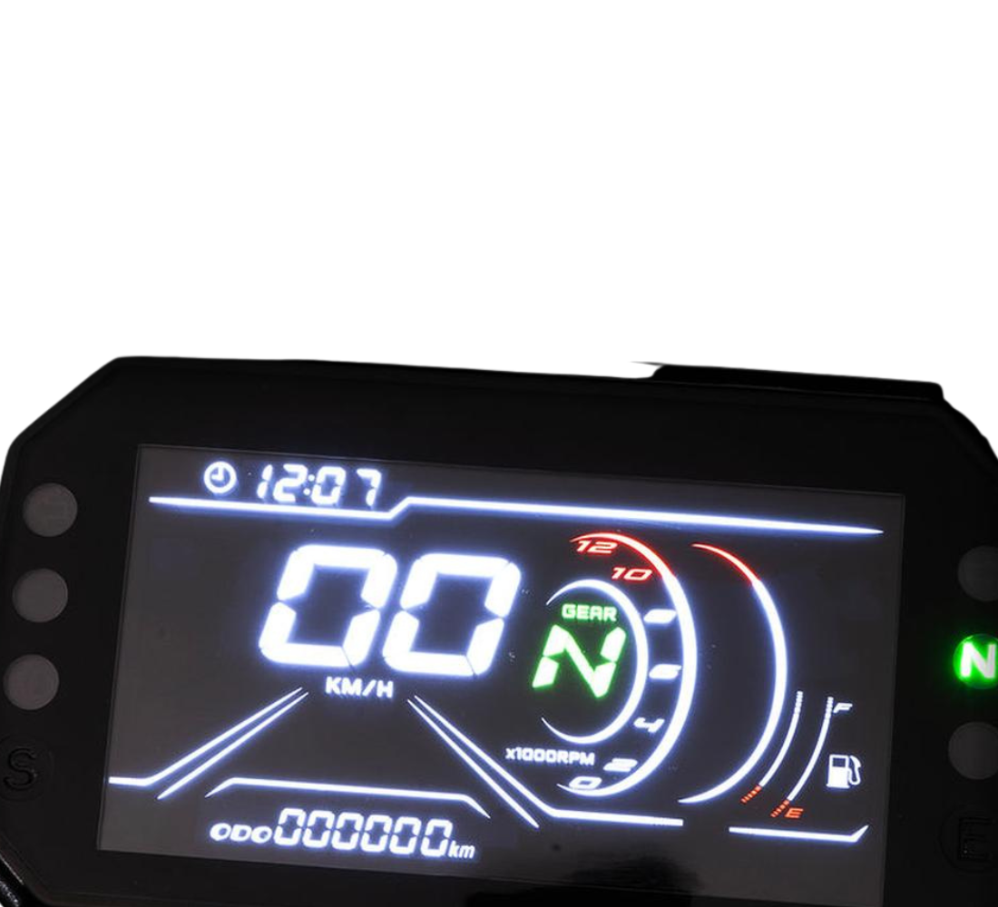 Veloci Snake Galeria Galgo